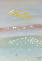 Salih Acar