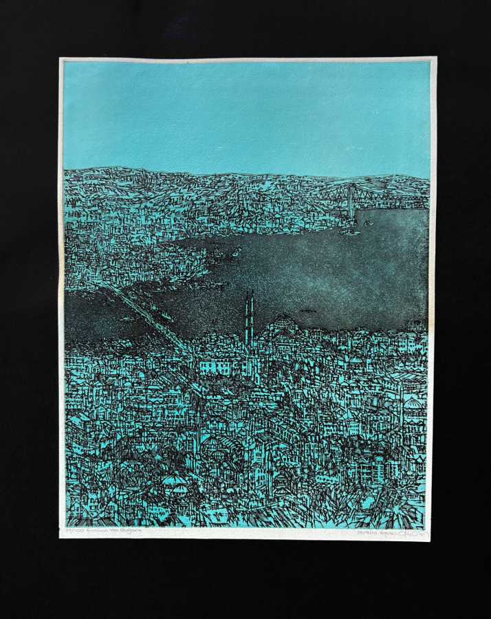 Devrim Erbil