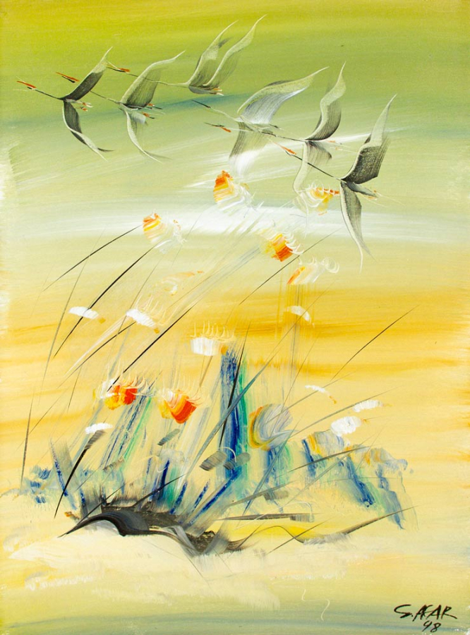 Salih Acar