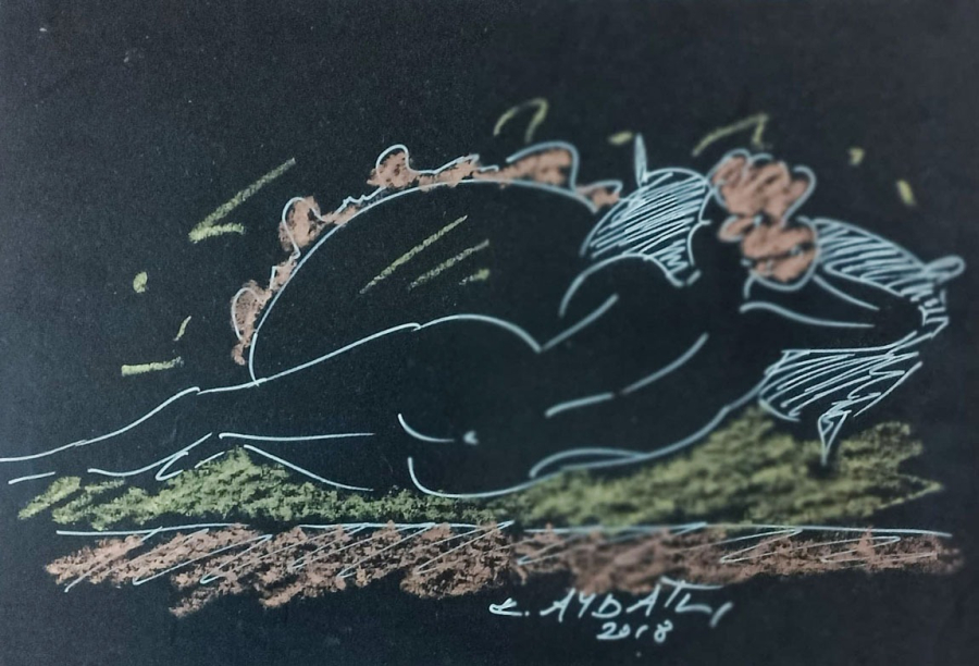 Kayhan Aybatlı